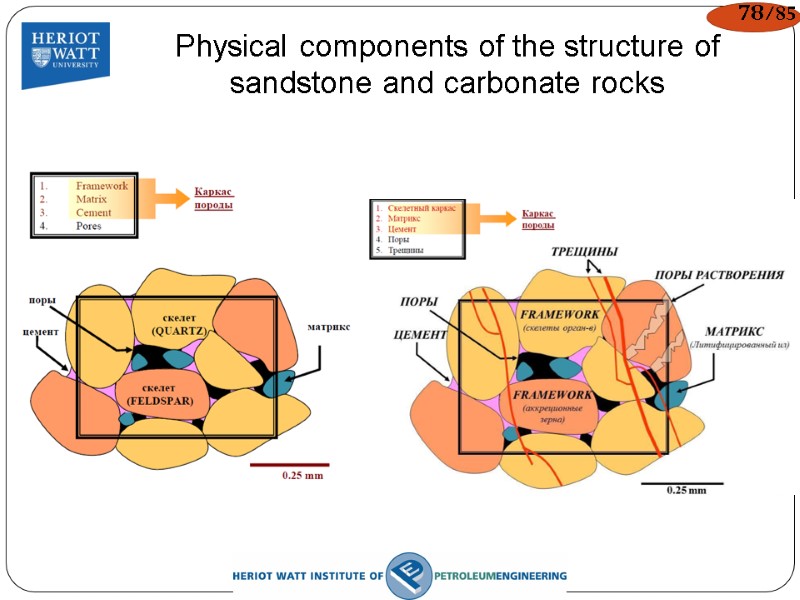 Physical components of the structure of sandstone and carbonate rocks 78/85